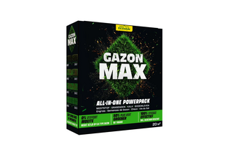 ECOSTYLE GazonMax - Mest, graszaad, kalk en bodemleven in 1. 1 KG