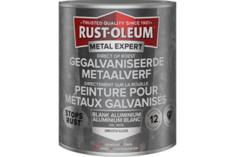 RUST-OLEUM Metal Expert Gegalvaniseerde metaalverf 250 ML, Blank aluminium – RAL 9006