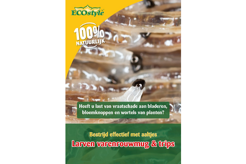 Ecostyle aaltjes f tegen de larven varenrouwmug (rouwvliegjes) 5 miljoen / 5 m2