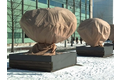 Beschermhoes winter cupa 0,6x0,8 m, beige, 50 gr., 2 st./verp.