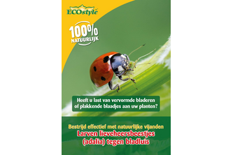 ECOSTYLE Aaltjes Larven lieveheersbeestje tegen bladluis