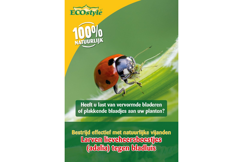 Ecostyle aaltjes larven lieveheersbeestje tegen bladluis 50 stuks